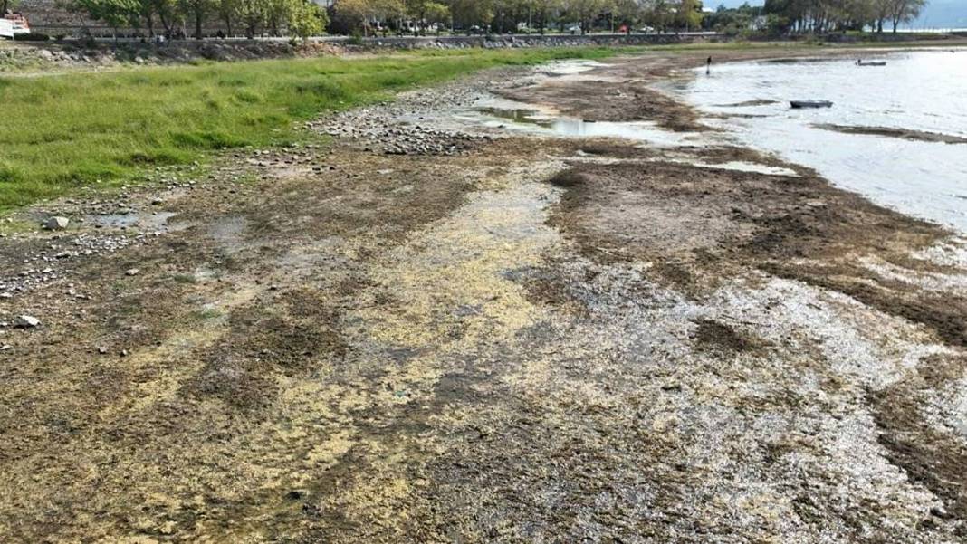 İskeleler havada, tekneler çamurda kaldı: İznik'te çevre felaketi 7